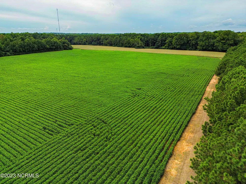 000 S Nc 581 Highway Bailey, NC 27807