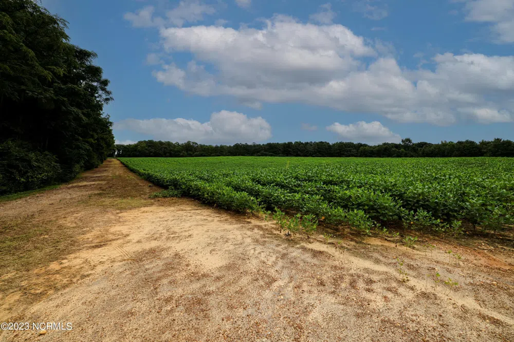 000 S Nc 581 Highway Bailey, NC 27807
