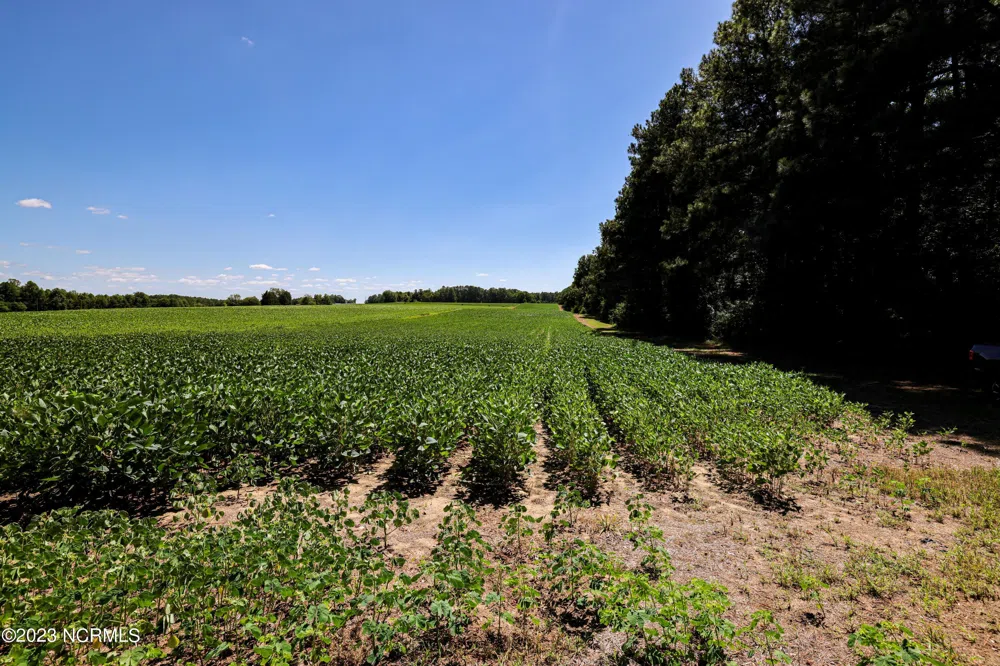 000 S Nc 581 Highway Bailey, NC 27807