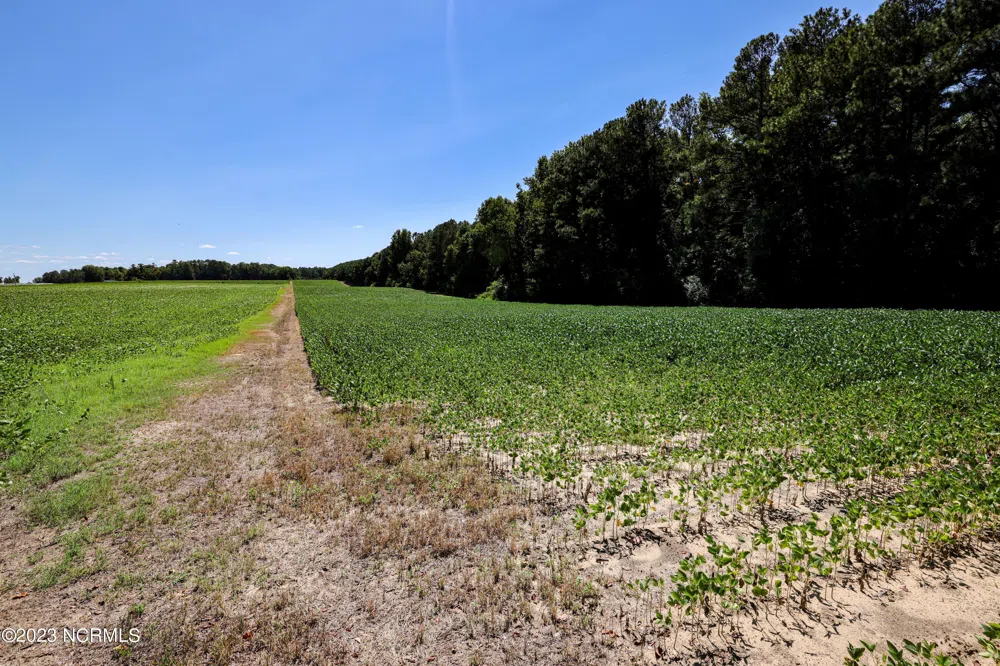 000 S Nc 581 Highway Bailey, NC 27807