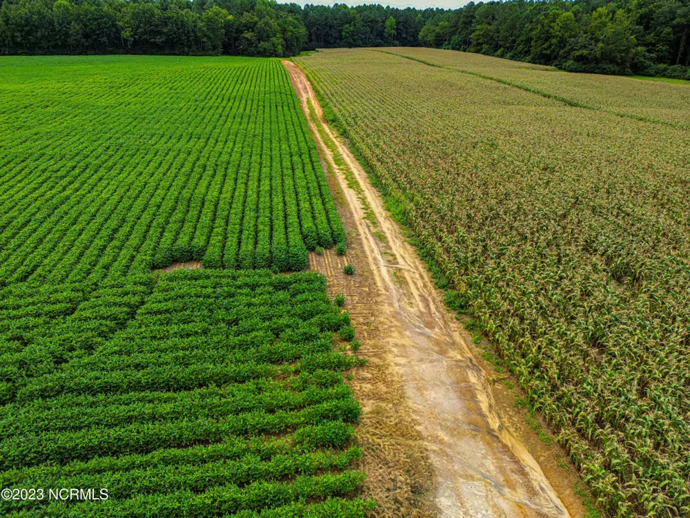 000 S Nc 581 Highway Bailey, NC 27807