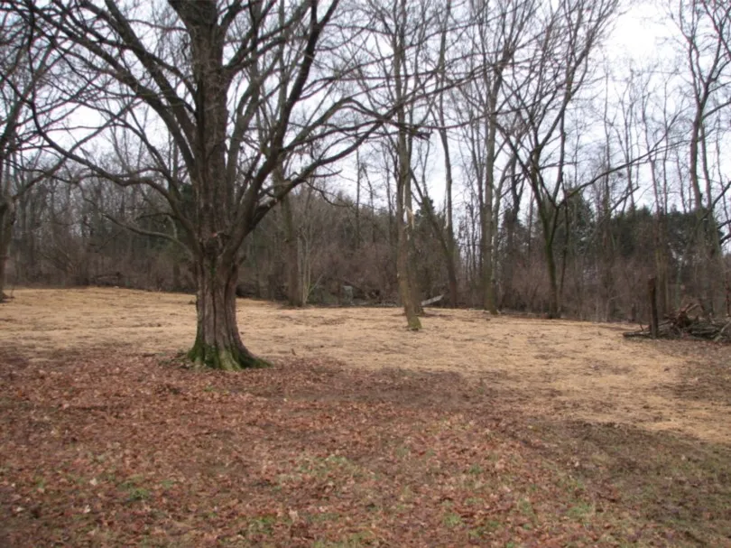 1311 Huffines Ridge Dr Franklin, TN 37067