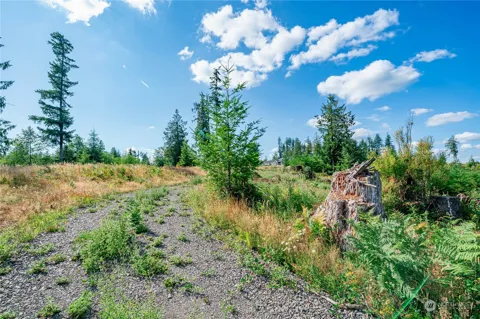 0 S Silver Lake Lot #8 Road
