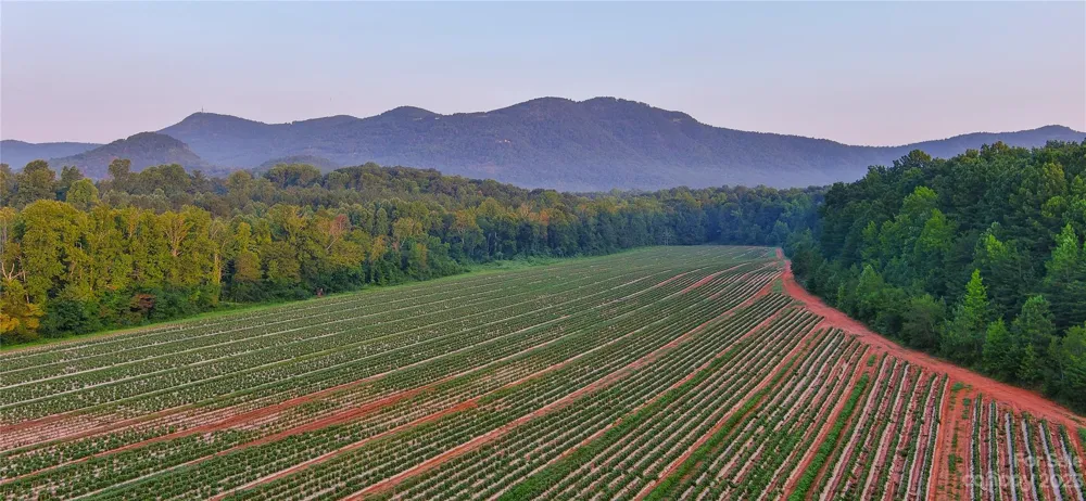 0 Fox Mountain Road #1 Columbus, NC 28722