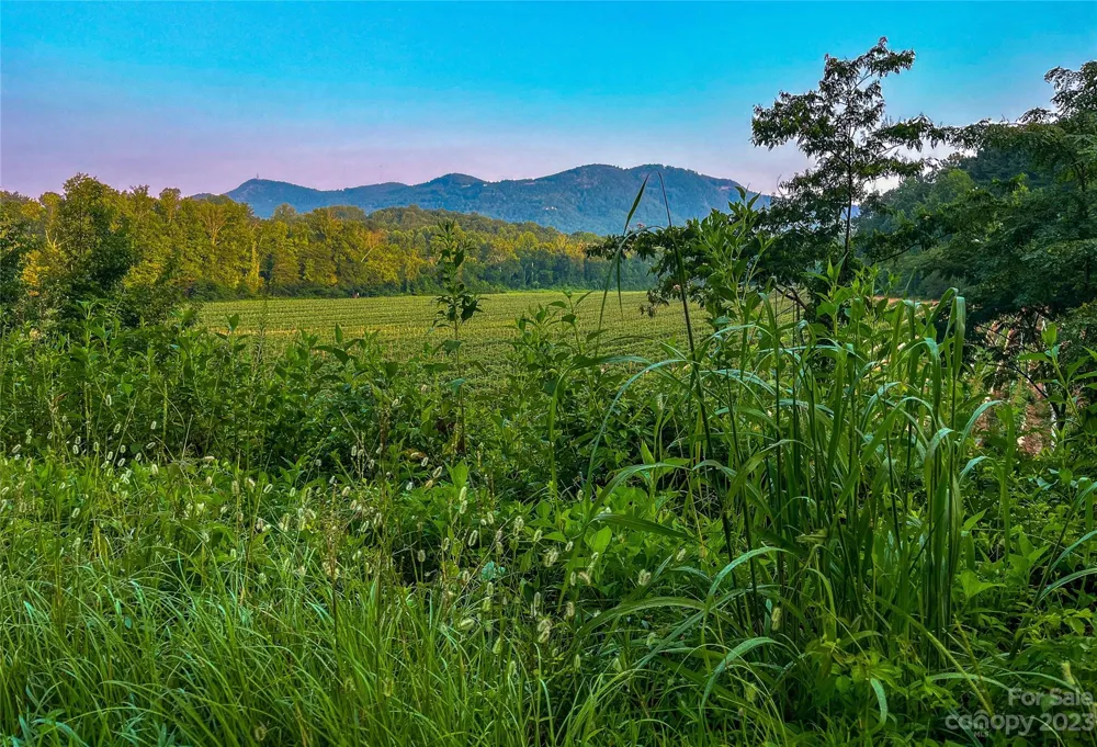 0 Fox Mountain Road #1 Columbus, NC 28722