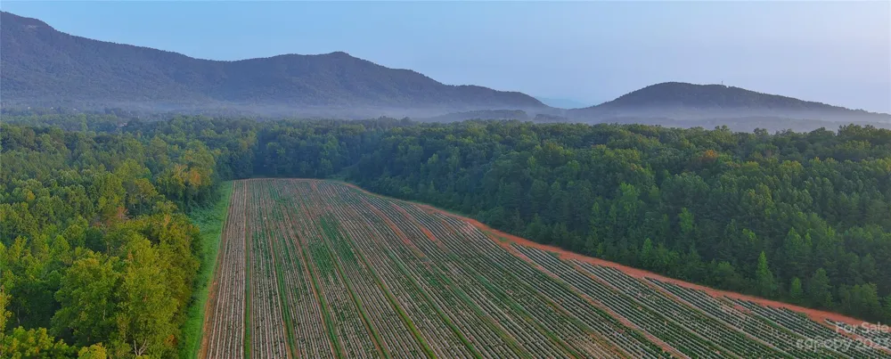 0 Fox Mountain Road #2 Columbus, NC 28722