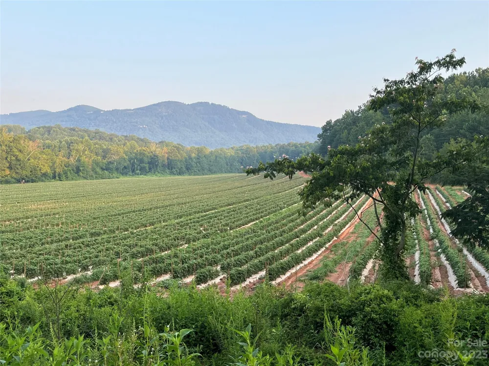 0 Fox Mountain Road #2 Columbus, NC 28722
