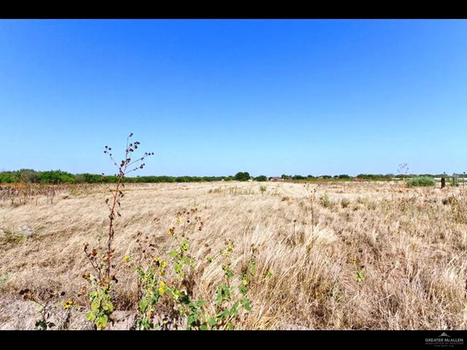 00 Jesus Flores Road Monte Alto, TX 78538