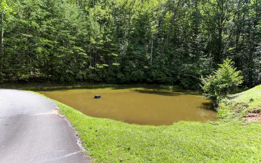 76 Hollyanne Pond RD Hayesville, NC 28904