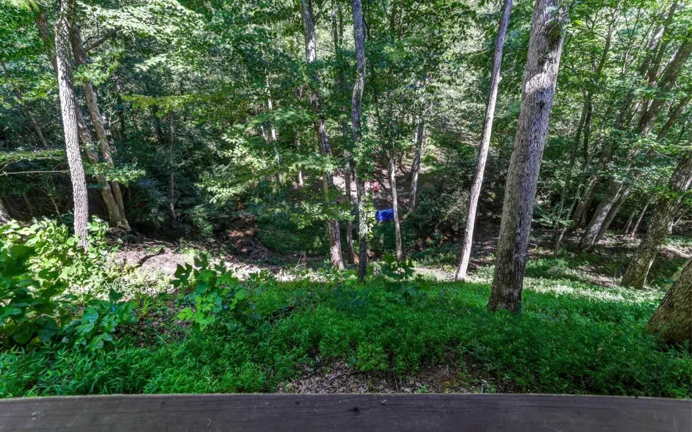 76 Hollyanne Pond RD Hayesville, NC 28904