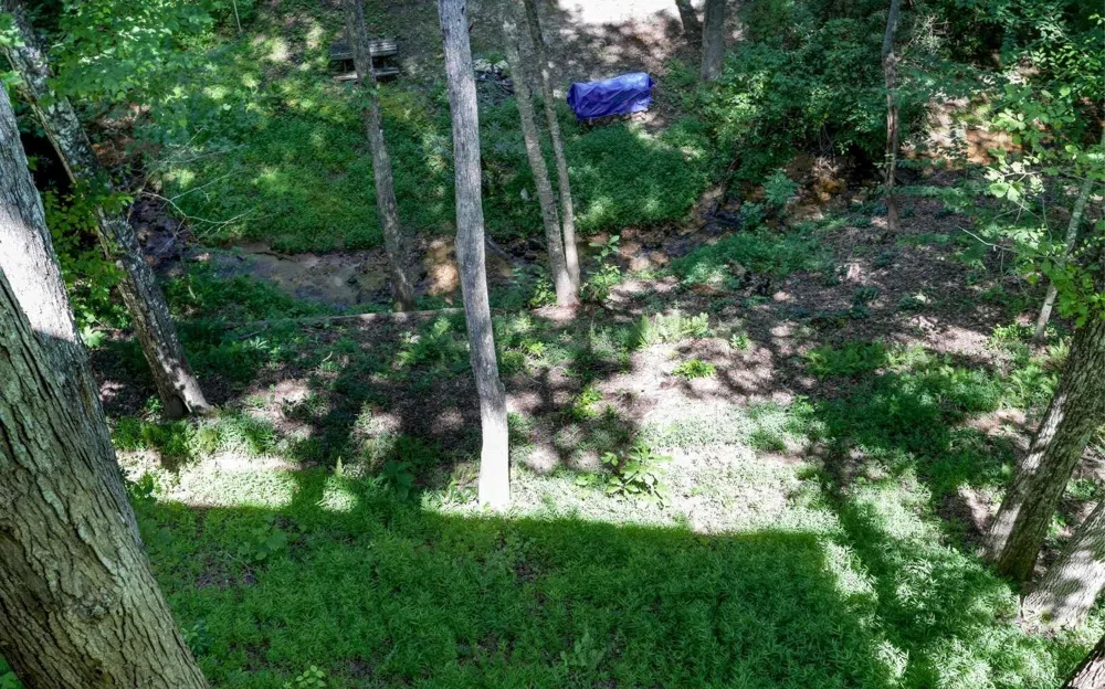 76 Hollyanne Pond RD Hayesville, NC 28904