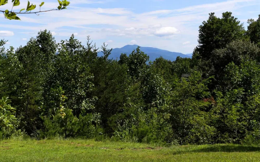 76 Hollyanne Pond RD Hayesville, NC 28904