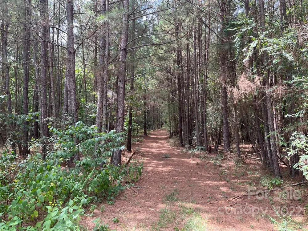 0 Pearidge Road #7 Bostic, NC 28018
