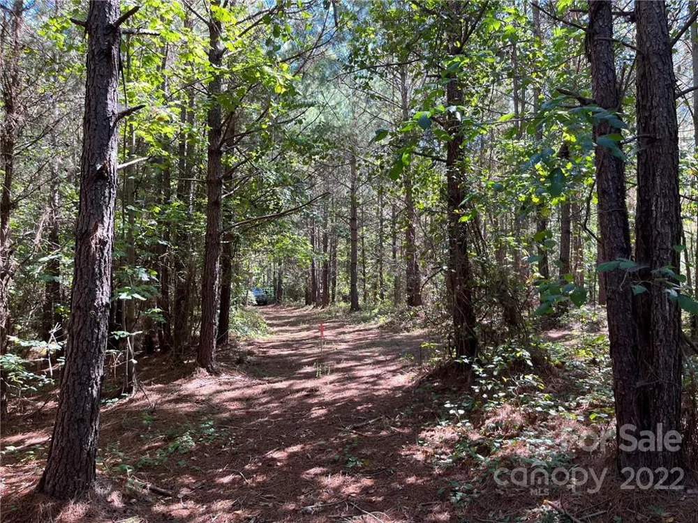 0 Pearidge Road #7 Bostic, NC 28018