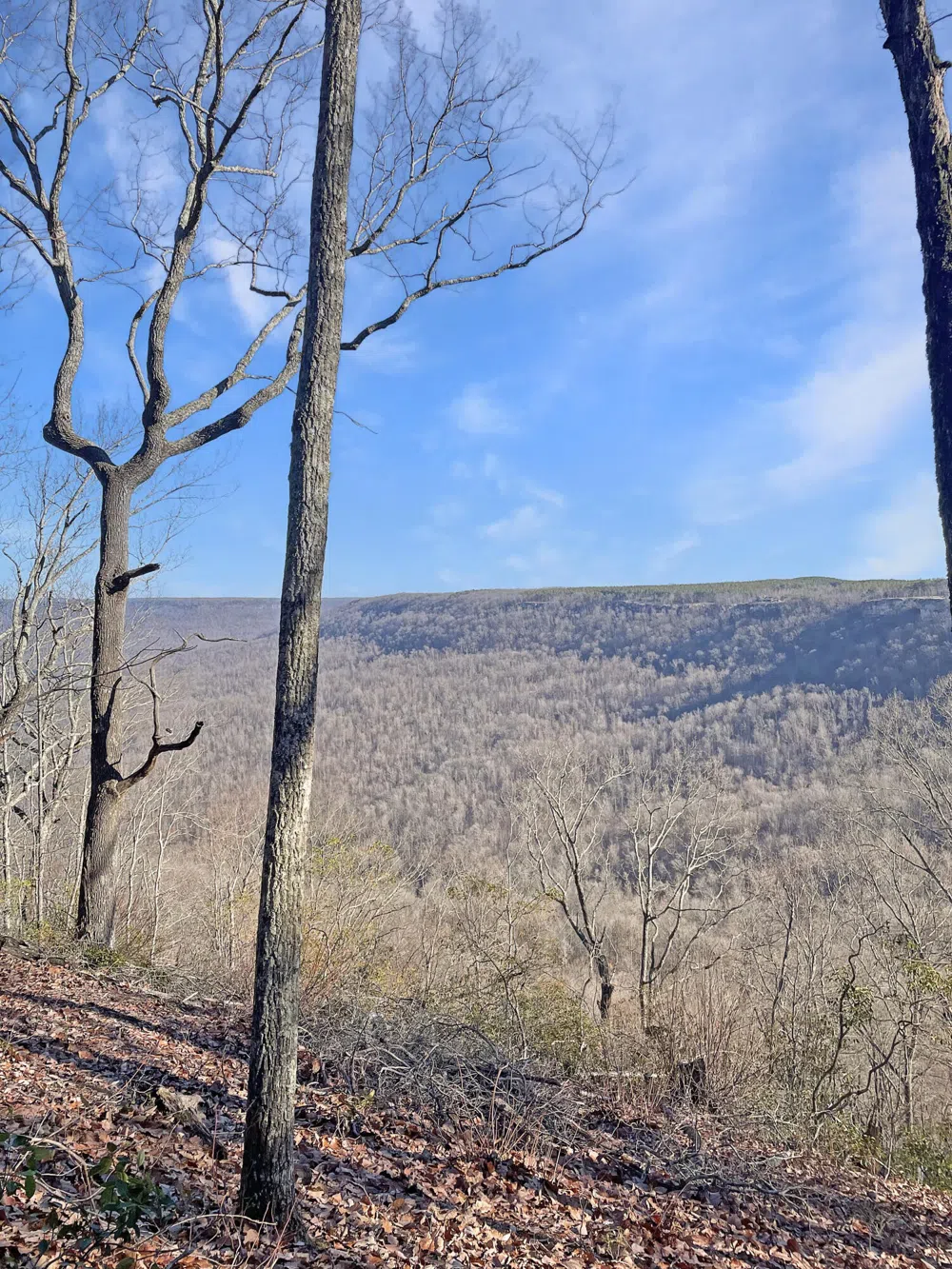 0 Summit Way Jasper, TN 37347