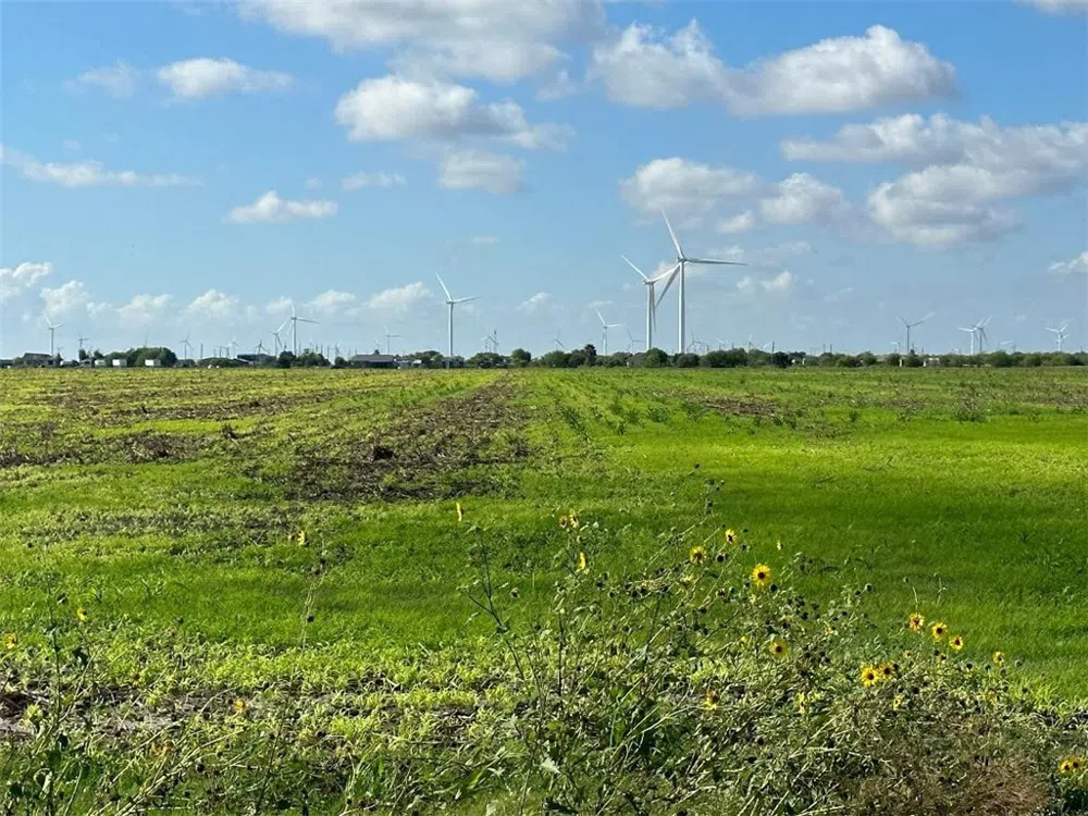 County Road 1064 Taft, TX 78390