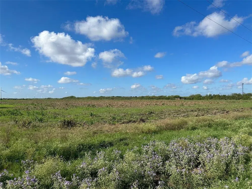 County Road 1064 Taft, TX 78390