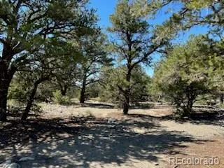 15 Mill Run Road