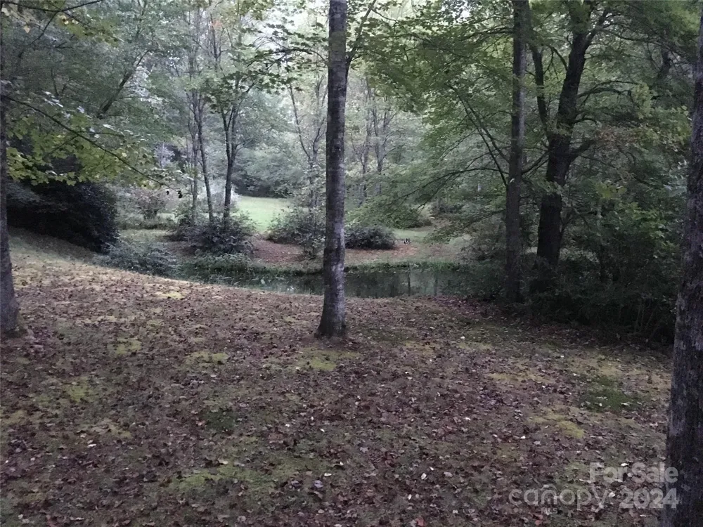 L 3 Sweetwater Ridge Road Balsam Grove, NC 28708