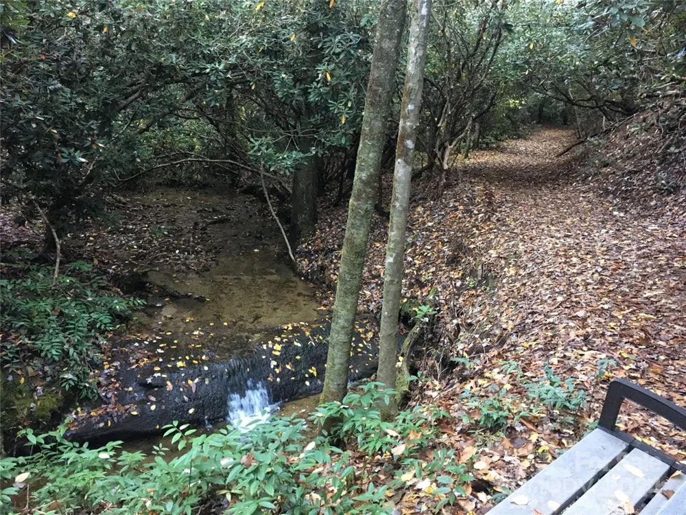 L 3 Sweetwater Ridge Road Balsam Grove, NC 28708