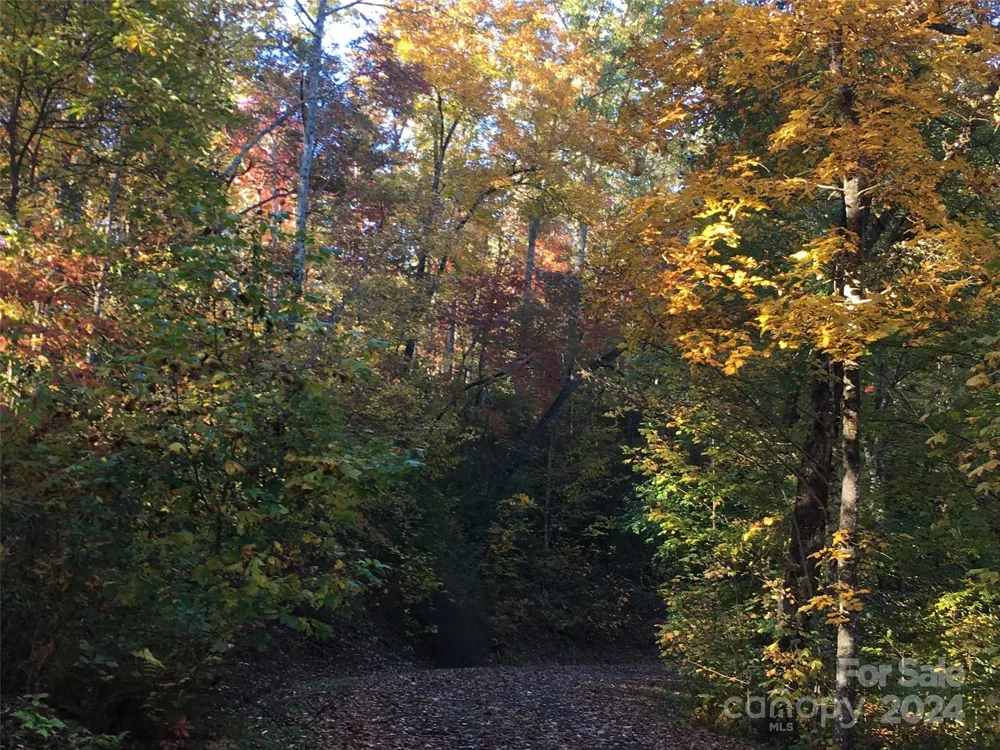 L 3 Sweetwater Ridge Road Balsam Grove, NC 28708