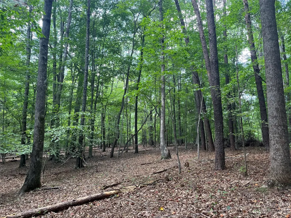 0 Fox Mountain Road #9 Columbus, NC 28722