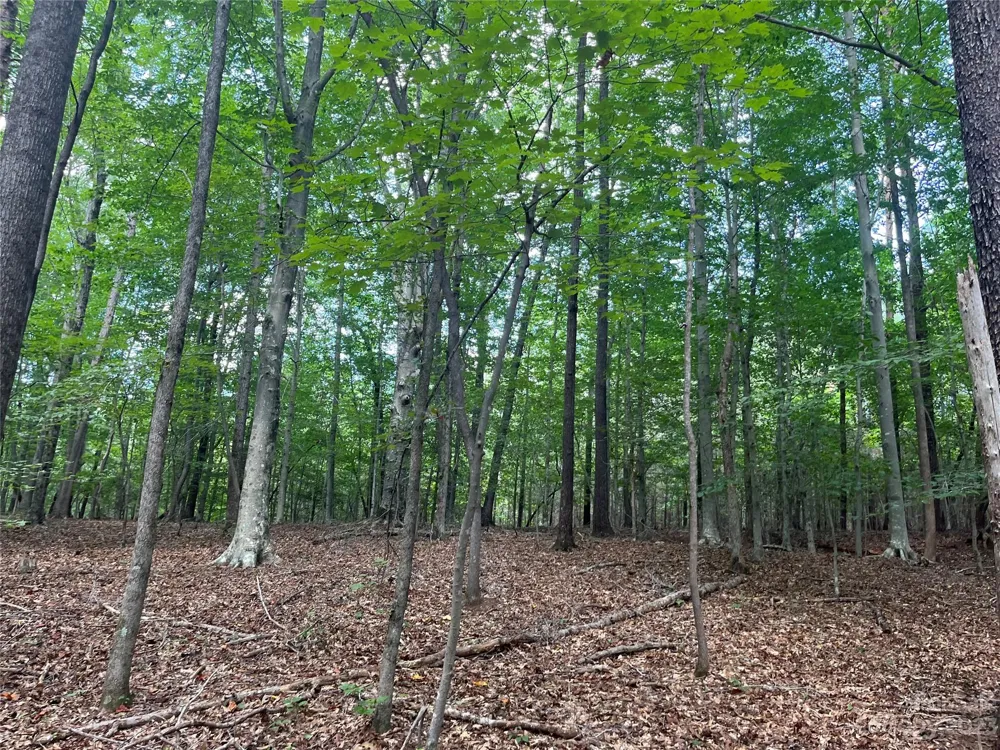 0 Fox Mountain Road #9 Columbus, NC 28722