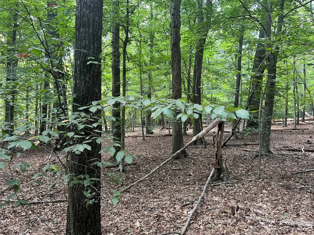 0 Fox Mountain Road #9 Columbus, NC 28722