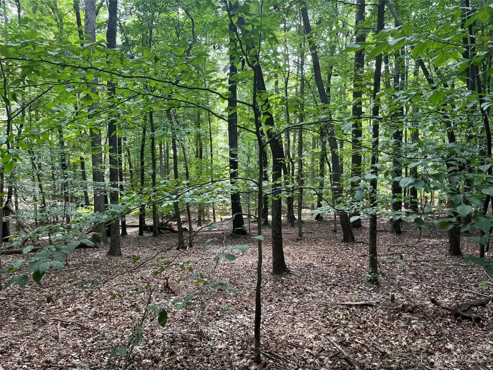 0 Fox Mountain Road #9 Columbus, NC 28722