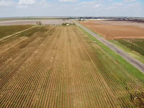 4 FM 168