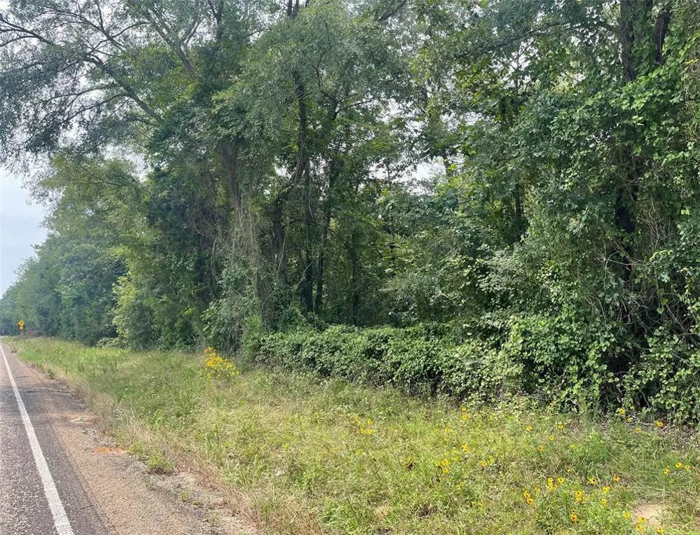 FM 1519 Pittsburg, TX 75686
