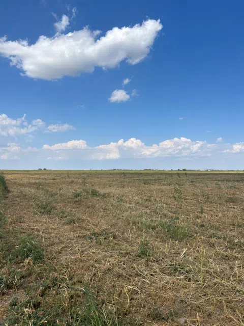 11204 E US Highway 62/82
