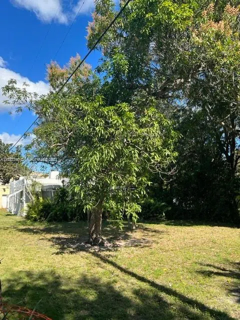 821 NE 120th St Biscayne Park, FL 33161