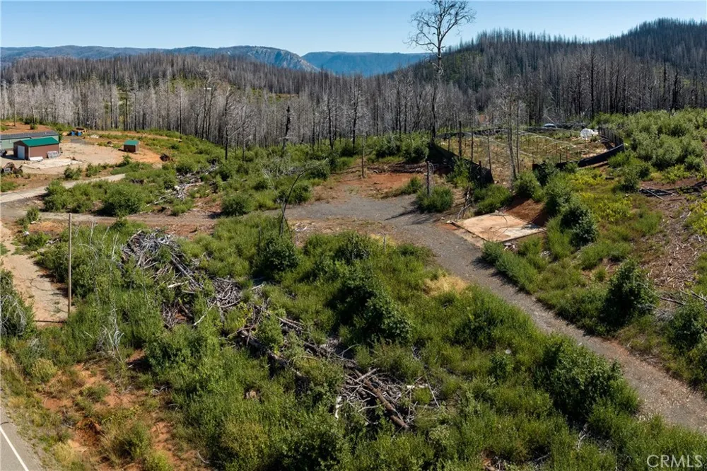 13324 Oroville Quincy Berry Creek, CA 95916
