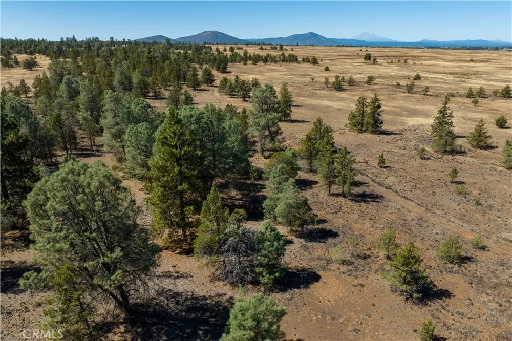 Old Highway Road Road Other, CA 96056