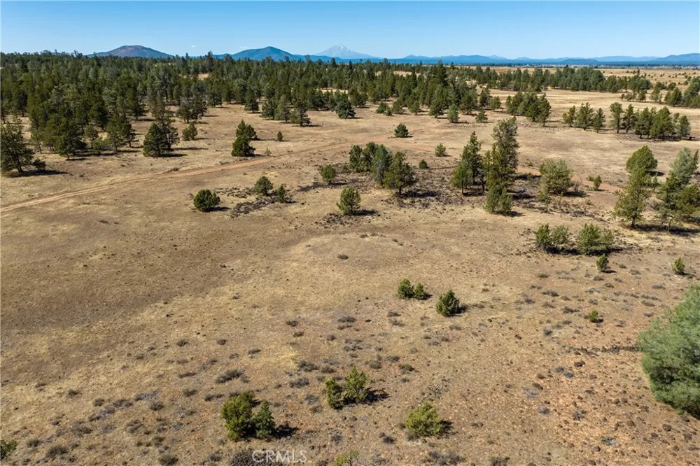 Old Highway Road Road Other, CA 96056
