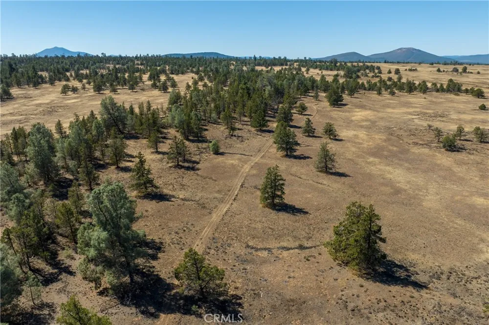 Old Highway Road Road Other, CA 96056
