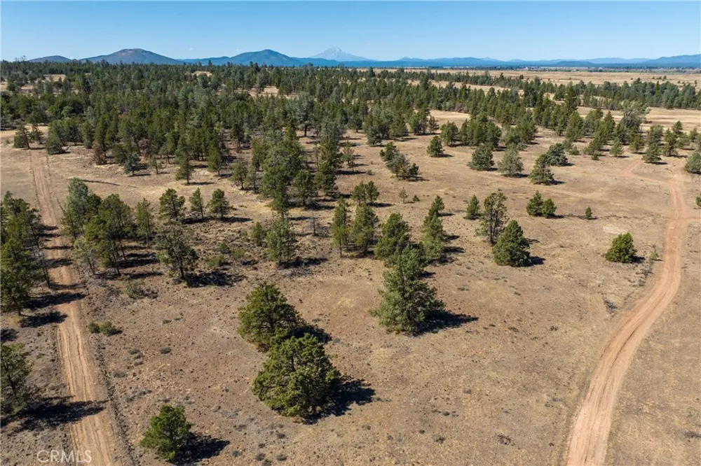 Old Highway Road Road Other, CA 96056