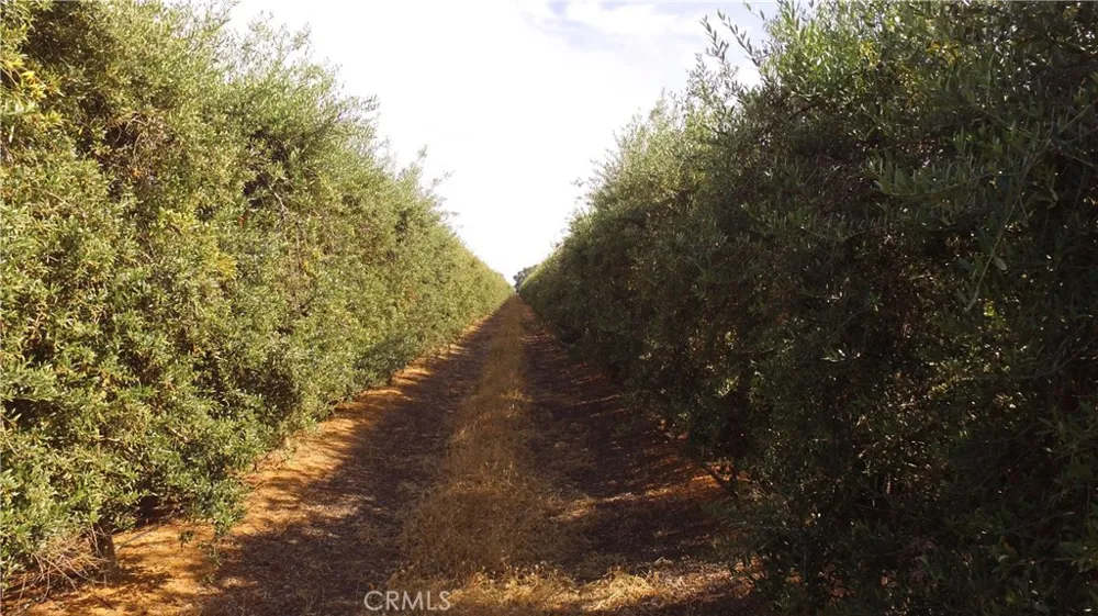 Cottonwood Road Unincorporated, CA 95965