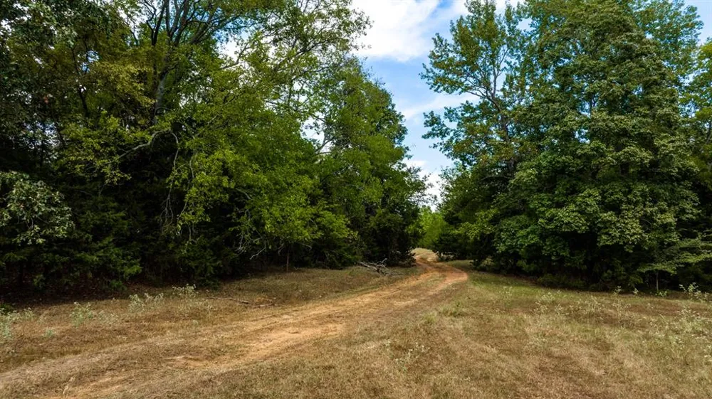 CR 2320 Pittsburg, TX 75686