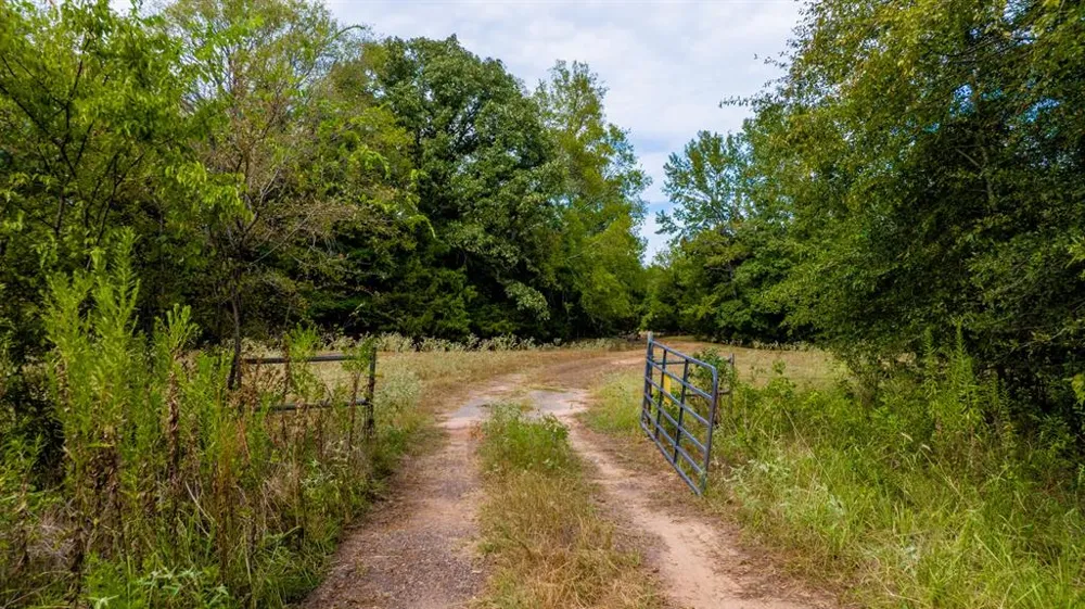 CR 2320 Pittsburg, TX 75686