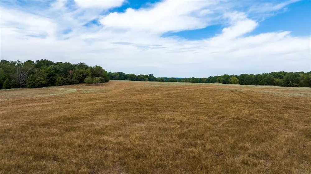 CR 2320 Pittsburg, TX 75686