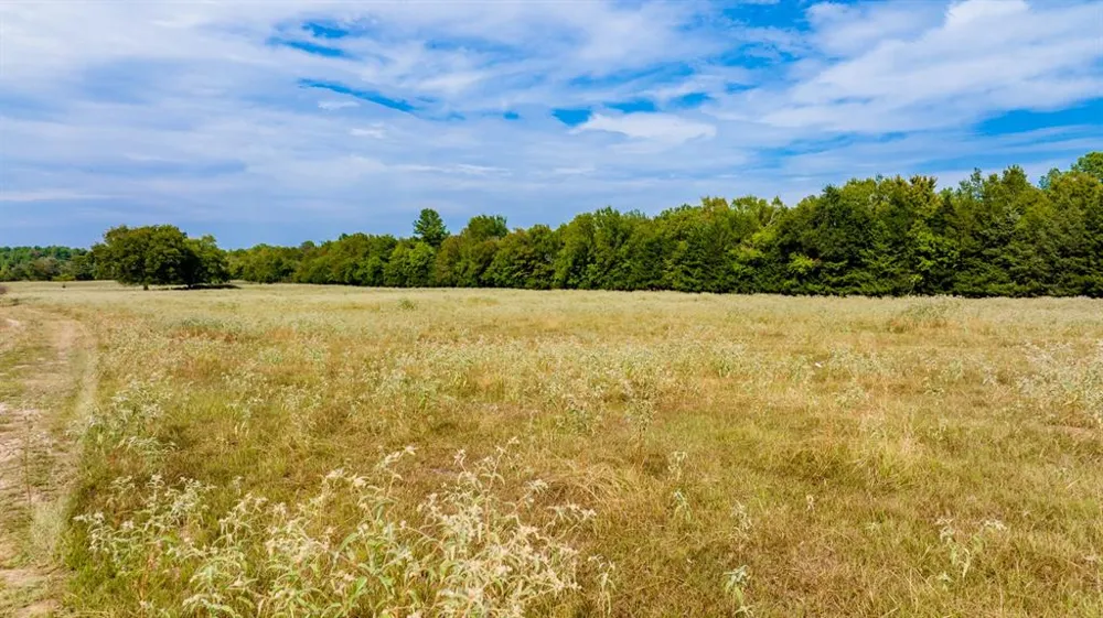 CR 2320 Pittsburg, TX 75686