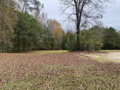 6384 Cobbham Road
