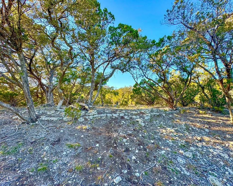 3600 Mt Sharp Rd Wimberley, TX 78676