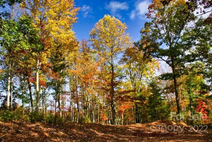 0 Hearthstone Drive #73 Union Mills, NC 28167