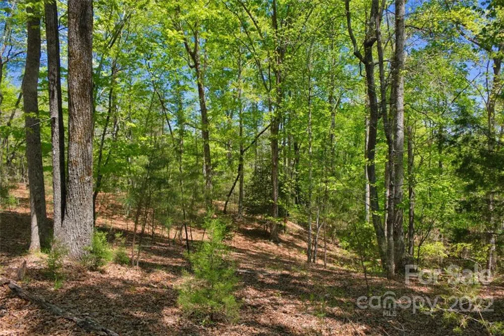 0 Hearthstone Drive #73 Union Mills, NC 28167