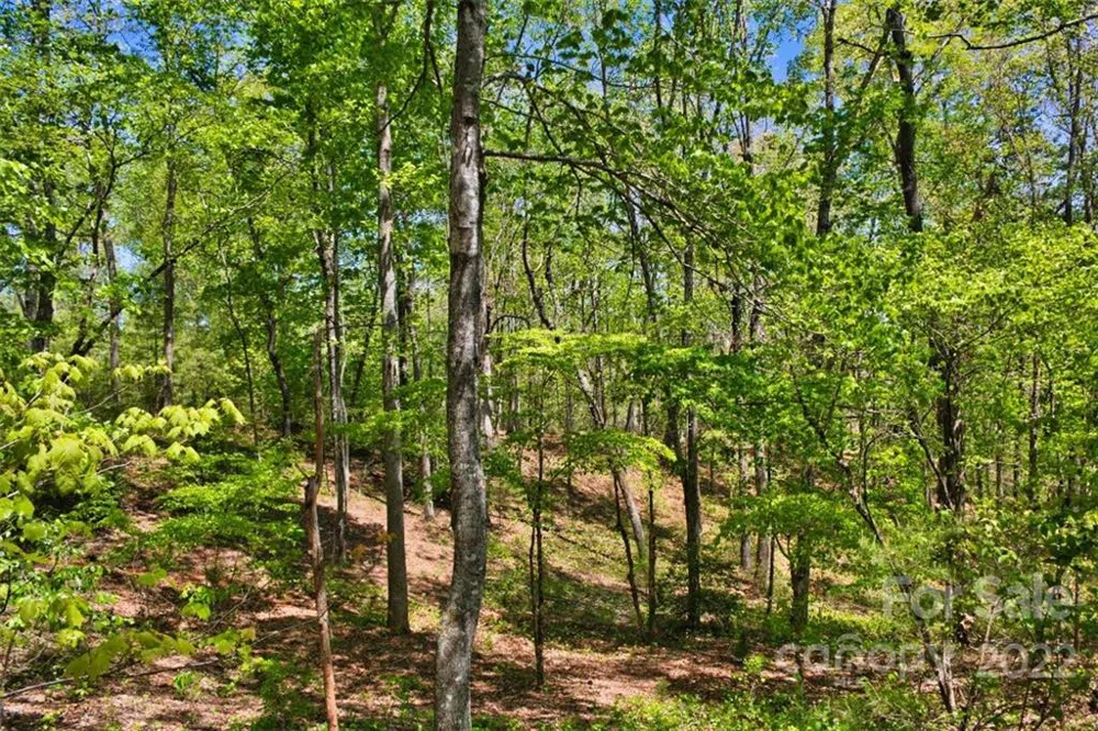 0 Hearthstone Drive #73 Union Mills, NC 28167