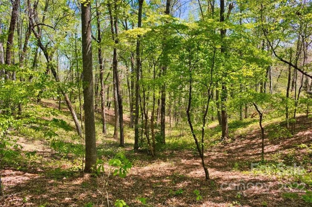 0 Hearthstone Drive #73 Union Mills, NC 28167