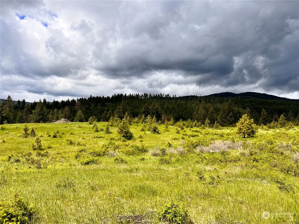 0 TBD Big Goosmus Crk Road Curlew, WA 99118